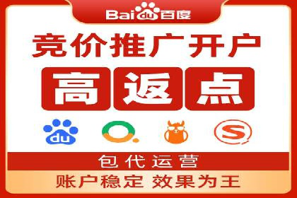 SEM主管实战案例：广告投放策略优化